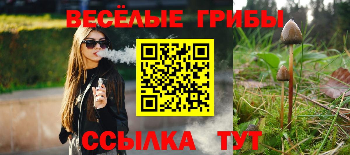 Псилоцибиновые грибы ЛСД  закладки  Заводоуковск  Галлюциногенные грибы GOLDEN TEACHER  Вход с VPN 